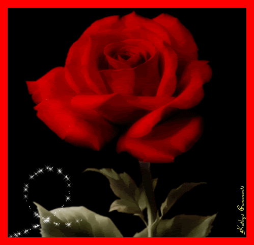 Hoa hồng - Ảnh động (Roses .gif) - Page 4 Rrose