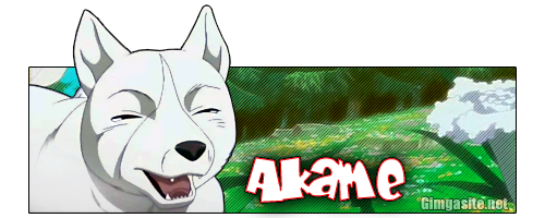 Firmas de Ginga AkameGDW4Banner