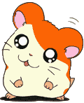 Chuột Ham Hamtaro1-1