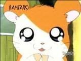 Chuột Ham Hamtaro20