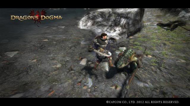 Dragons Dogma  (Pic`s & tips) - Page 2 550883_241064916002733_100002976788555_433307_431757996_n