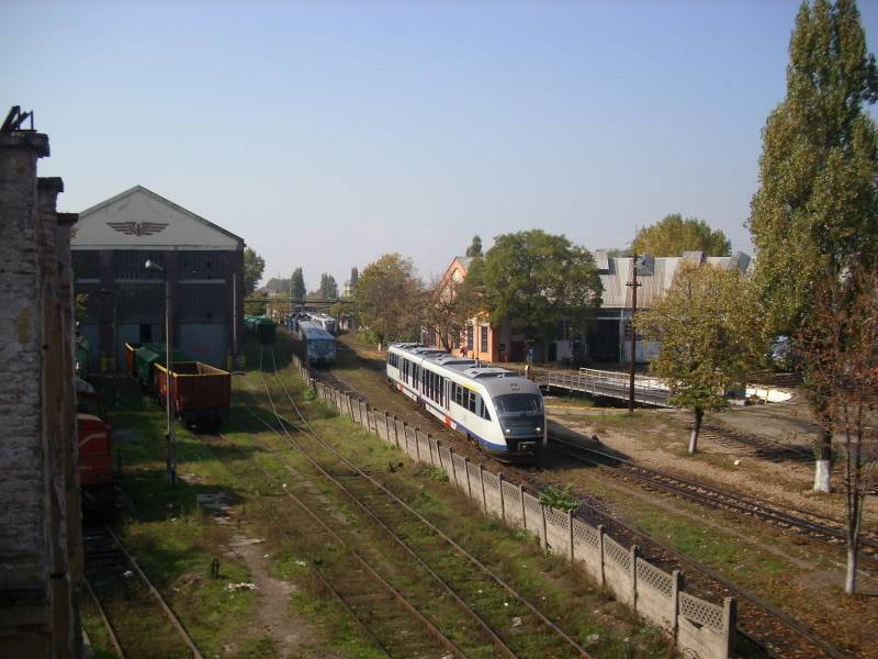 Prin Timisoara Nord IMG_0065