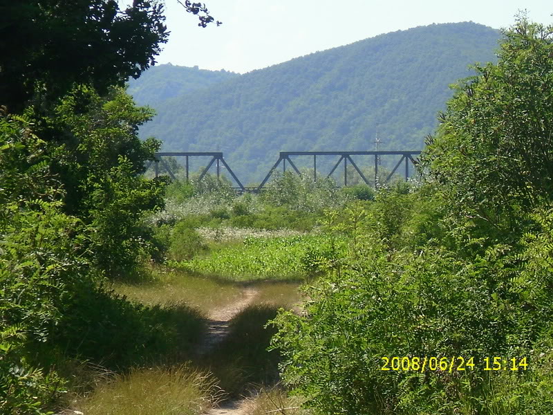 Deva - Valisoara, viaductul Luncoiu IMG_0075