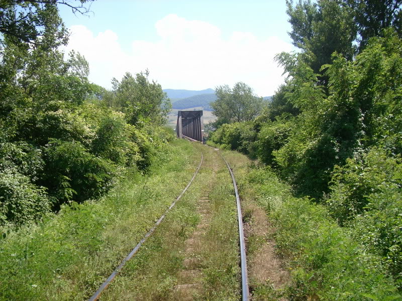 Deva - Valisoara, viaductul Luncoiu IMG_0078