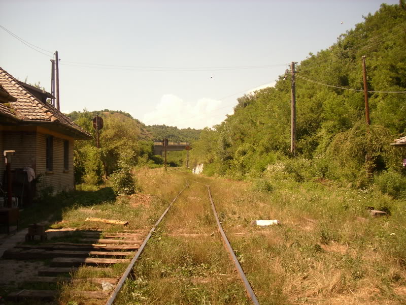 Deva - Valisoara, viaductul Luncoiu IMG_0086