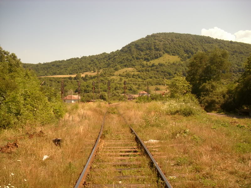 Deva - Valisoara, viaductul Luncoiu IMG_0087