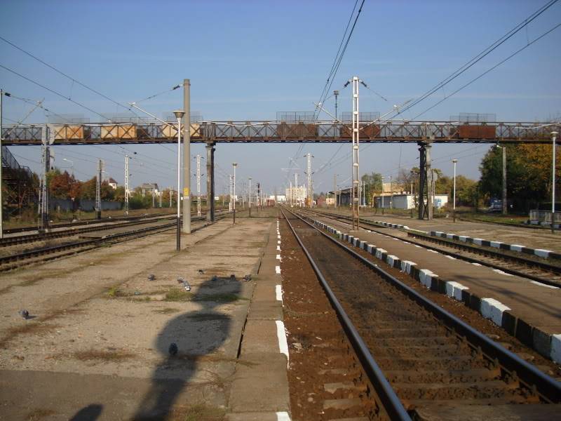 100 : Bucuresti Nord - Rosiori Nord - Craiova - Caransebes - Timisoara IMG_0084