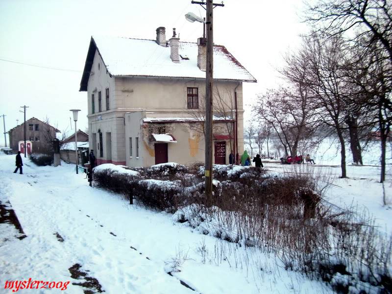 213 : Radna - Timisoara Nord IMG_2358