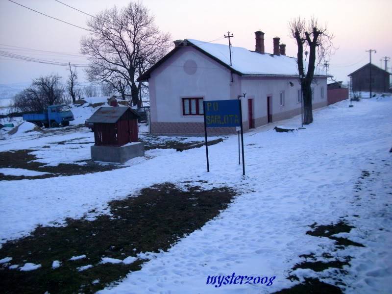 213 : Radna - Timisoara Nord IMG_2405