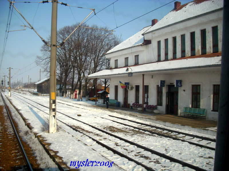 310 : Timisoara Nord - Arad - Oradea IMG_2246