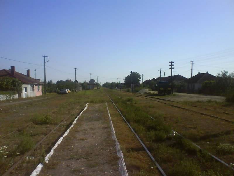 126 : Timisoara Nord - Cruceni hcv. DSC00997