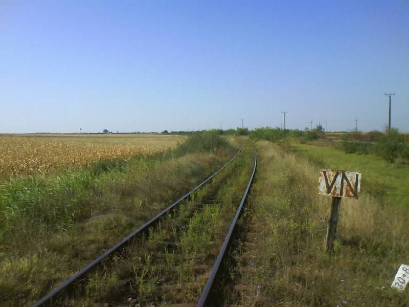 126 : Timisoara Nord - Cruceni hcv. DSC01002