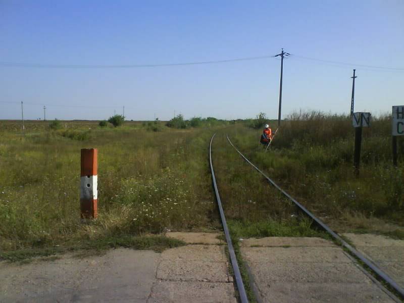 126 : Timisoara Nord - Cruceni hcv. DSC01003