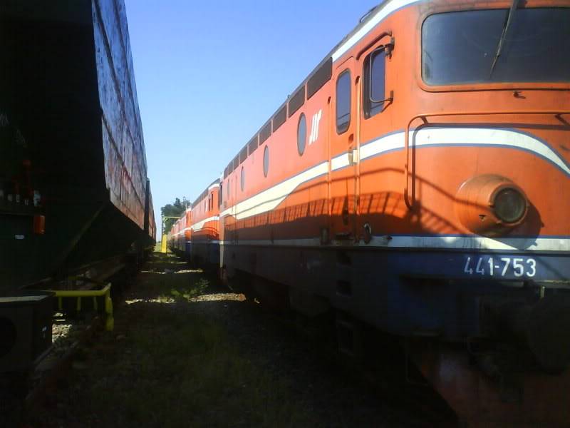 Locomotive sarbesti in drum spre Electroputere Craiova DSC01045