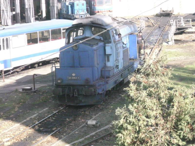 Locomotive clasa 80 si 81 (LDH 125) IMG_0071