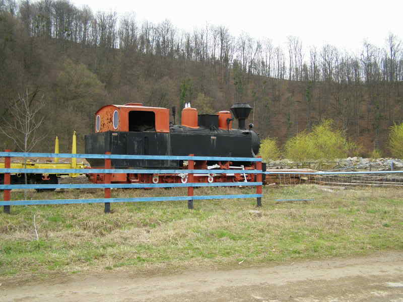 Un tren uitat de timp la Nadrag P3231016