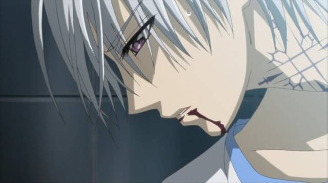 Vampire Knight 97c56071616450_full