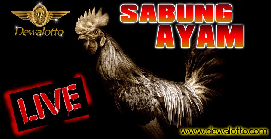 DEWA LOTTO | AGEN TOGEL ONLINE INDONESIA TERPECAYA - Page 20 Sabung%20ayam%20dewalotto_zpszf6hfji0