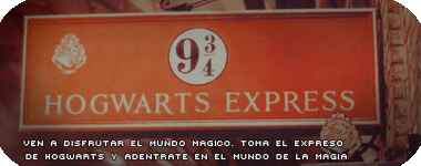 Maníacos Harry Potter 0anden