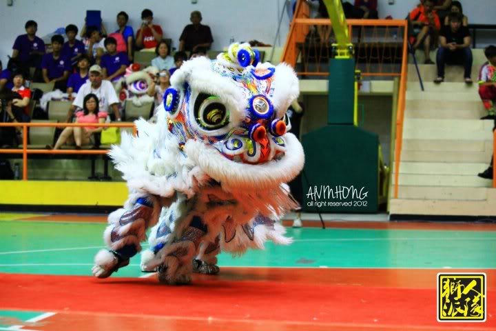 Penang International Lion Dance Championship 2012 - Part 2 391480_347279268683223_1890936870_n