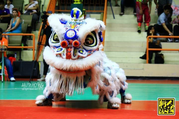 Penang International Lion Dance Championship 2012 - Part 2 524164_347279235349893_853262108_n