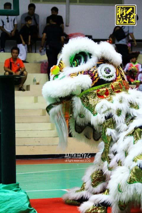 Penang International Lion Dance Championship 2012 - Part 2 548863_347271622017321_499229556_n