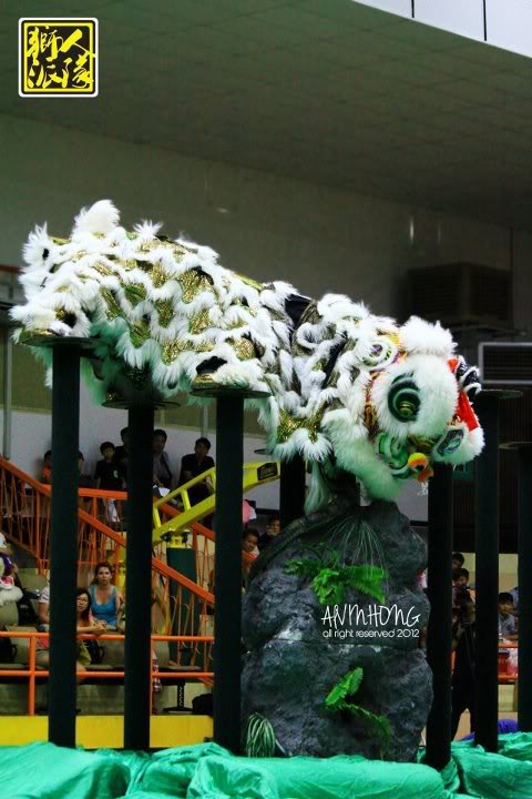 Penang International Lion Dance Championship 2012 - Part 2 562709_347271908683959_856342827_n