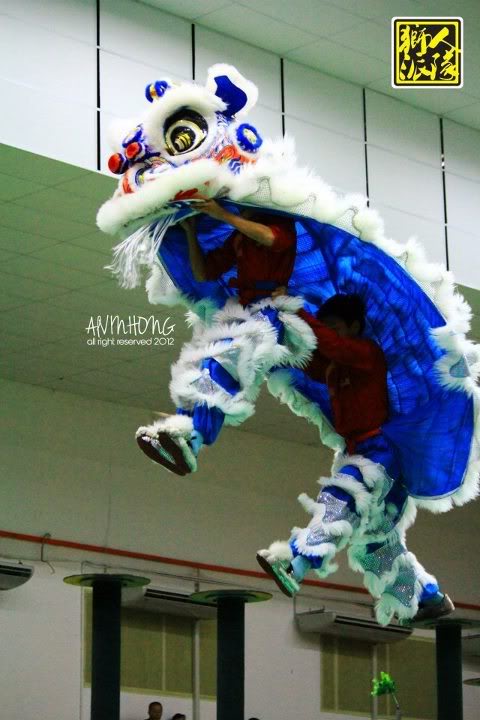 Penang International Lion Dance Championship 2012 - Part 2 600007_347279668683183_390074823_n