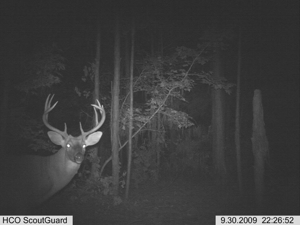 South GA bucks Buck5