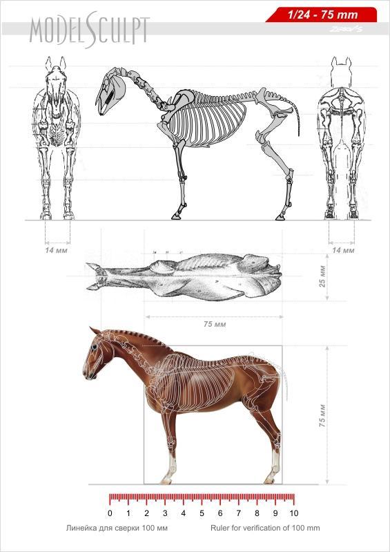 Pap Elefante africano. 3_75horse1_2