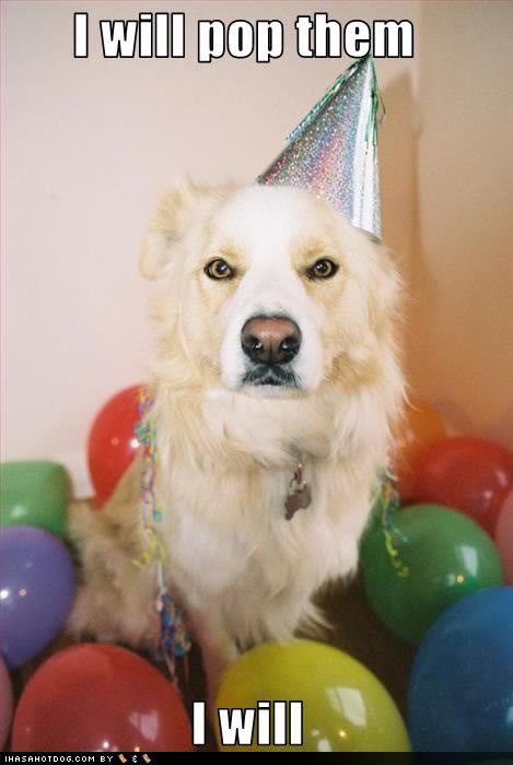 Happy happy happy birthday to OGGS! Funny-dog-pictures-pop-them