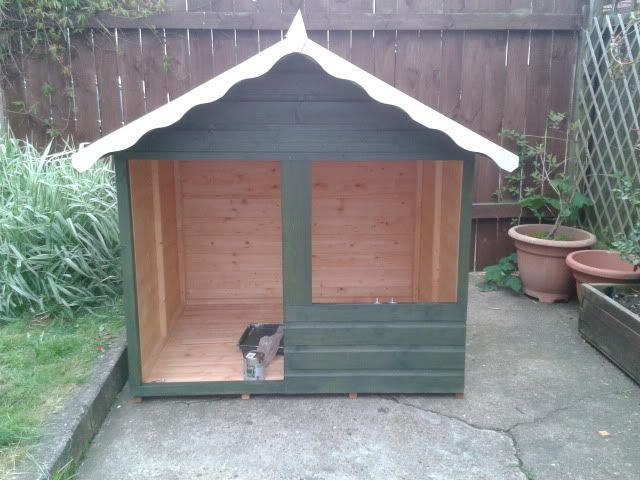 Playhouse is here - FINISHED, Buns are in! 2012-06-05184314