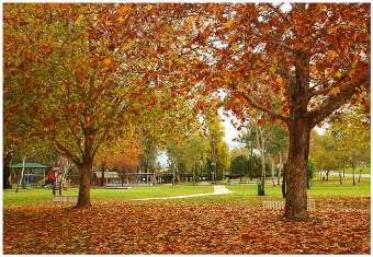 TÌNH MỘNG - Thơ Song An Châu 1308020467_a888dc1512-Autum-1