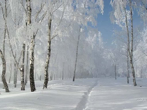 SONETOS DE TEMPORADA:  EL INVIERNO Mn3