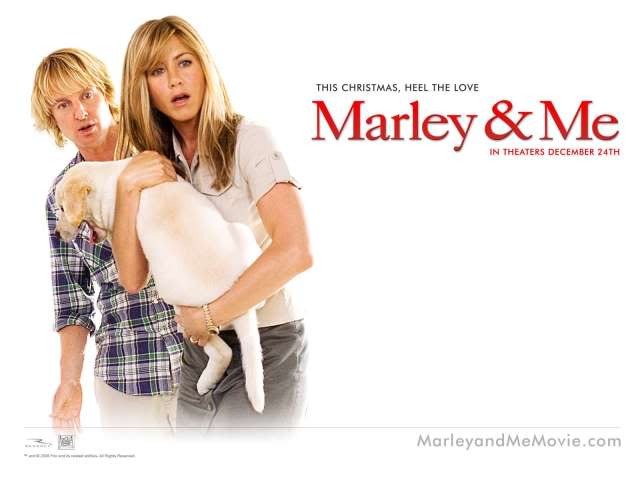 In Your Eyes - Marley & Me Marley-19421