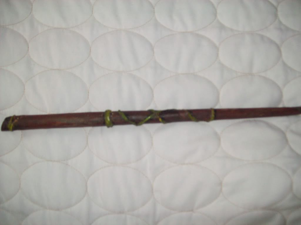 Teddy's Home made wand! Wand1