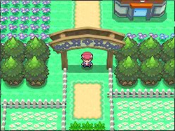 Pokemon Platinum Screenshots Floaroma