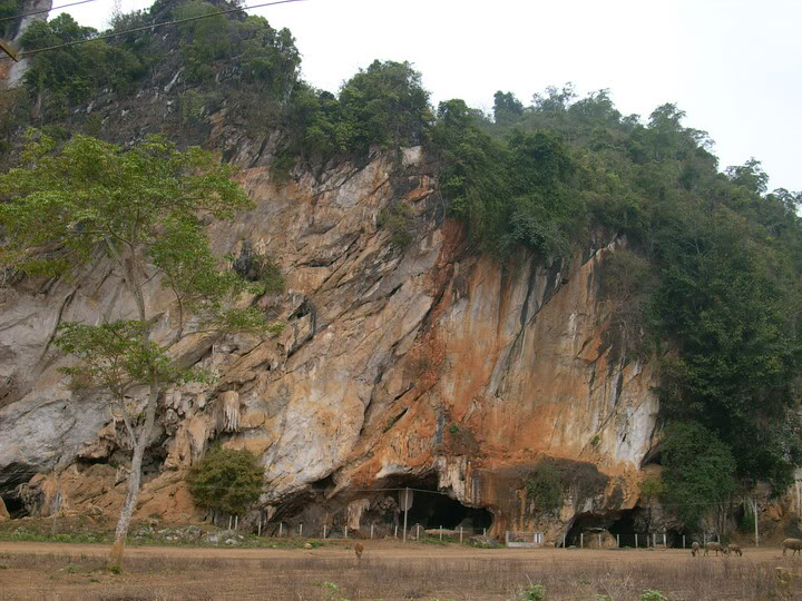 Thu trên miền tây Thanh - Nghệ . Thượng nguồn sông Hiếu , sông Chu Xuan200752resizeve0