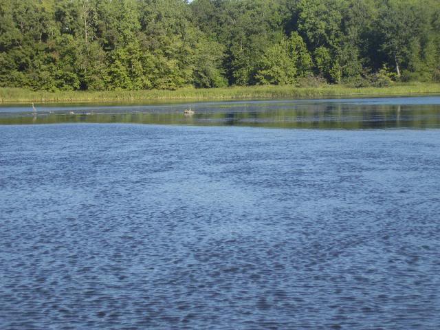 Le Brochet a la pêche blanche Photos012