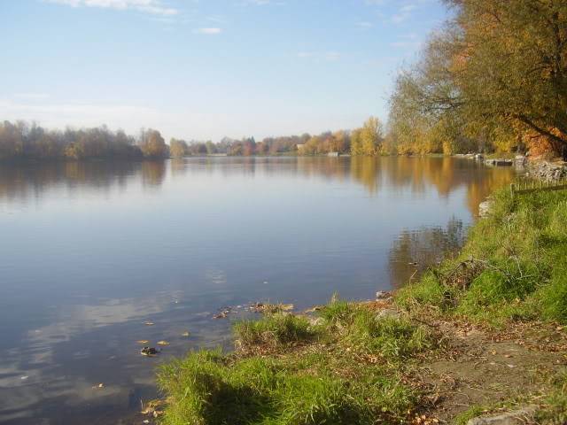 Bon Spot pour pêcher le brochet...A gué...Avec Pantalon de pêche PhotosMille-les011