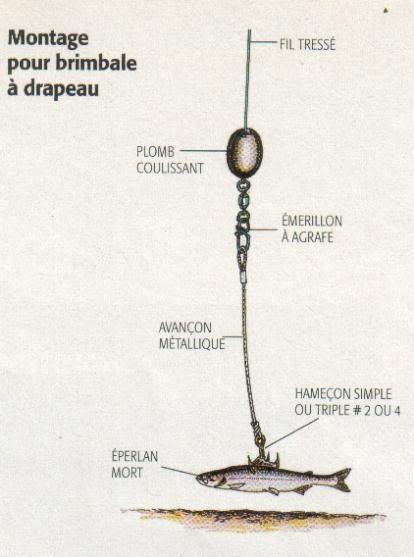 Le Brochet a la pêche blanche Montageplombenhaut