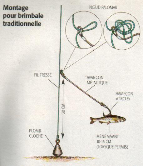 Le Brochet a la pêche blanche Montagetraditionnelle