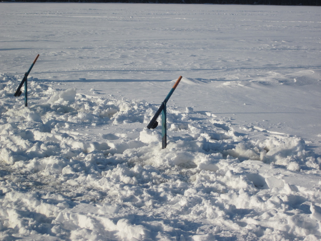 Ma saison de pêche blanche 2012 7e248e89