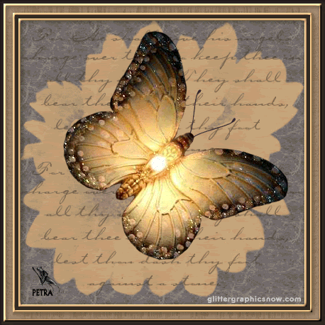 butterfly forever Btterfly094