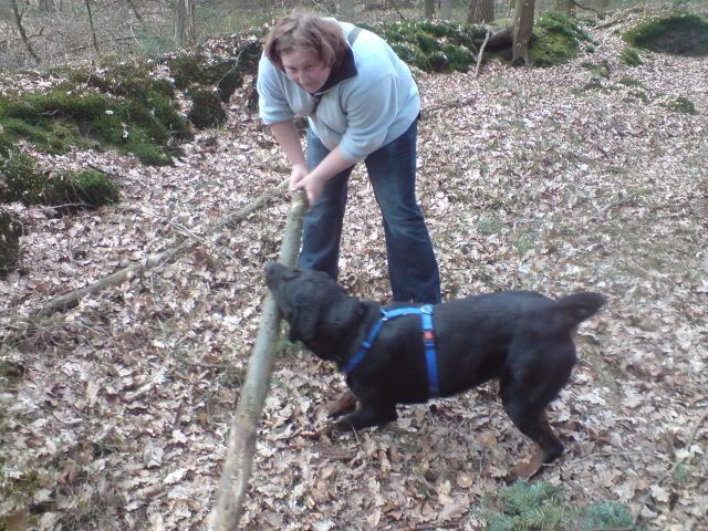 Balou en Joep de maatjes op pad DSC03499