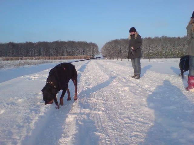 nog meer sneeuw DSC04786