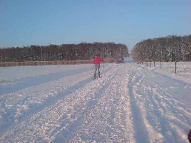 nog meer sneeuw DSC04803