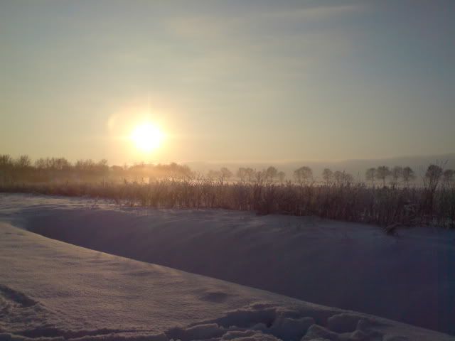 nog meer sneeuw DSC04804-1