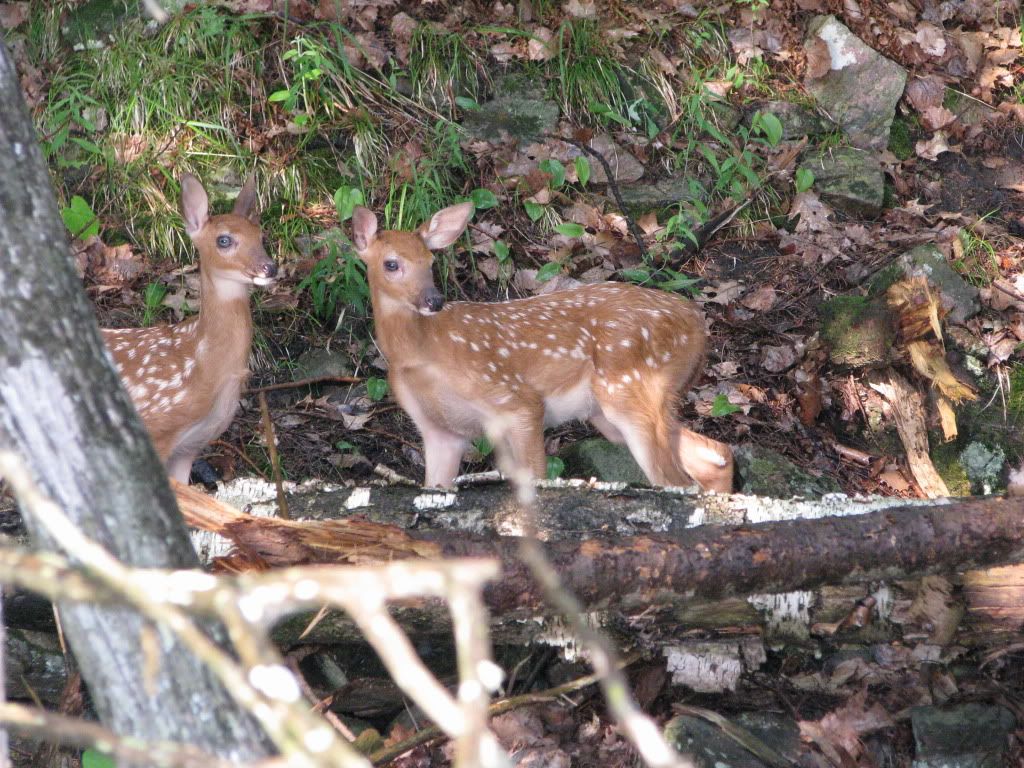 petit regard IMG_8110