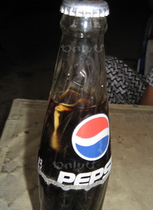 Bông ngoáy tai trong chai PEPSI Bongngoaytaitrongchai1